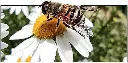 61NB7NJxofL._AC_SL1000_.webp
